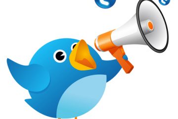 שיווק במדיה חברתית – מדריך טוויטר –  ציוצים חברתיים ברשת